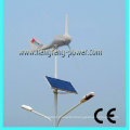 New product 300W wind turbines